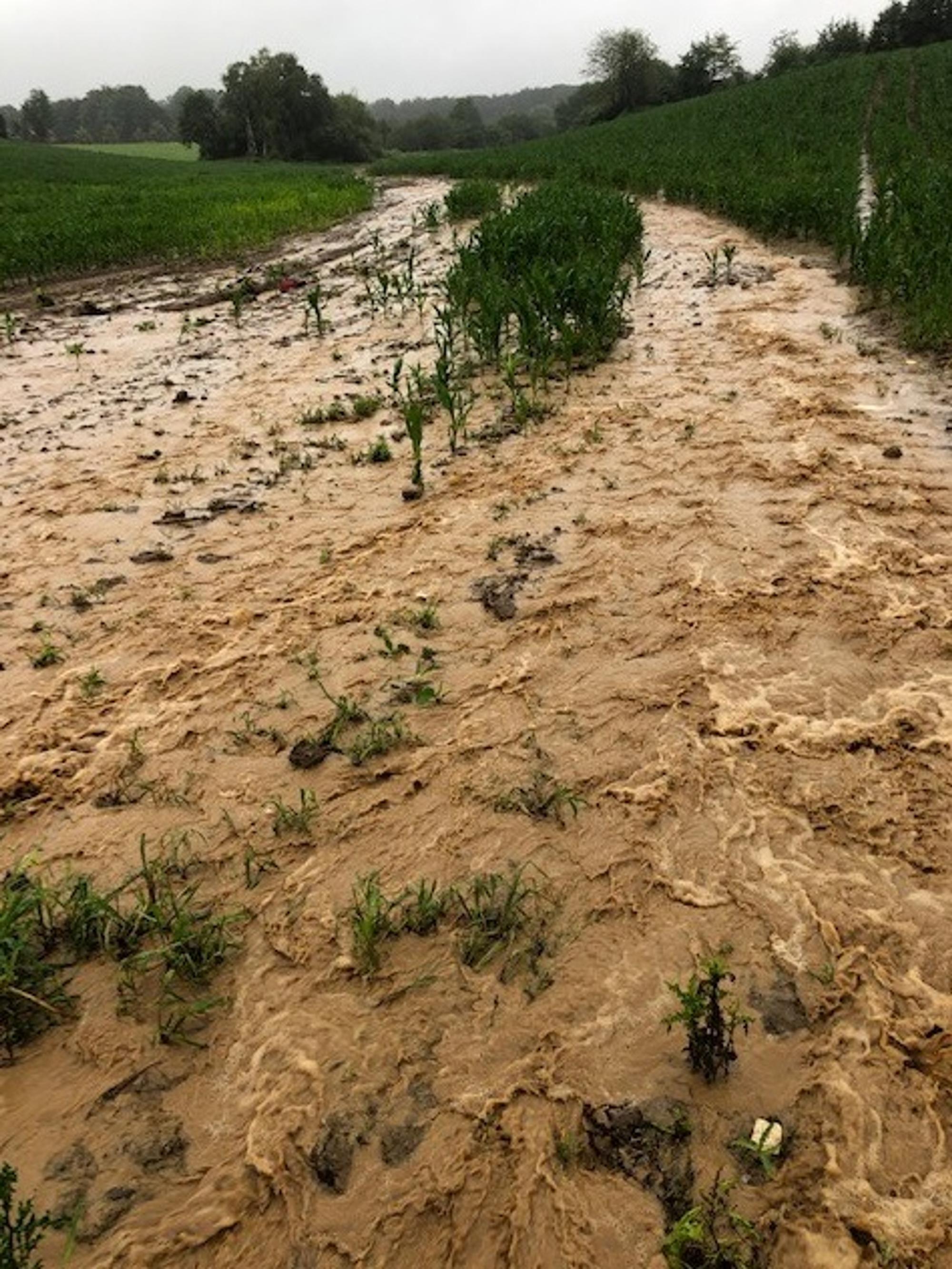 Unwetter Neuenhus 1407