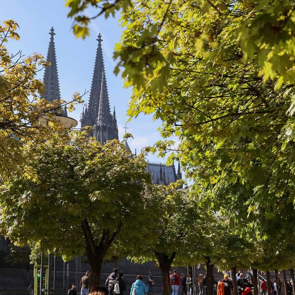 Baum Dom GOYERT 190422