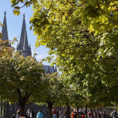 Baum Dom GOYERT 190422