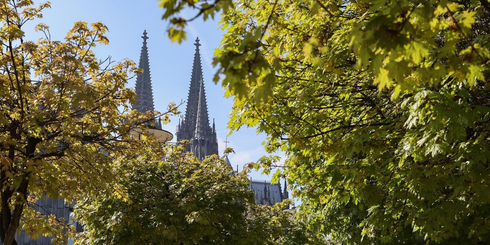 Baum Dom GOYERT 190422