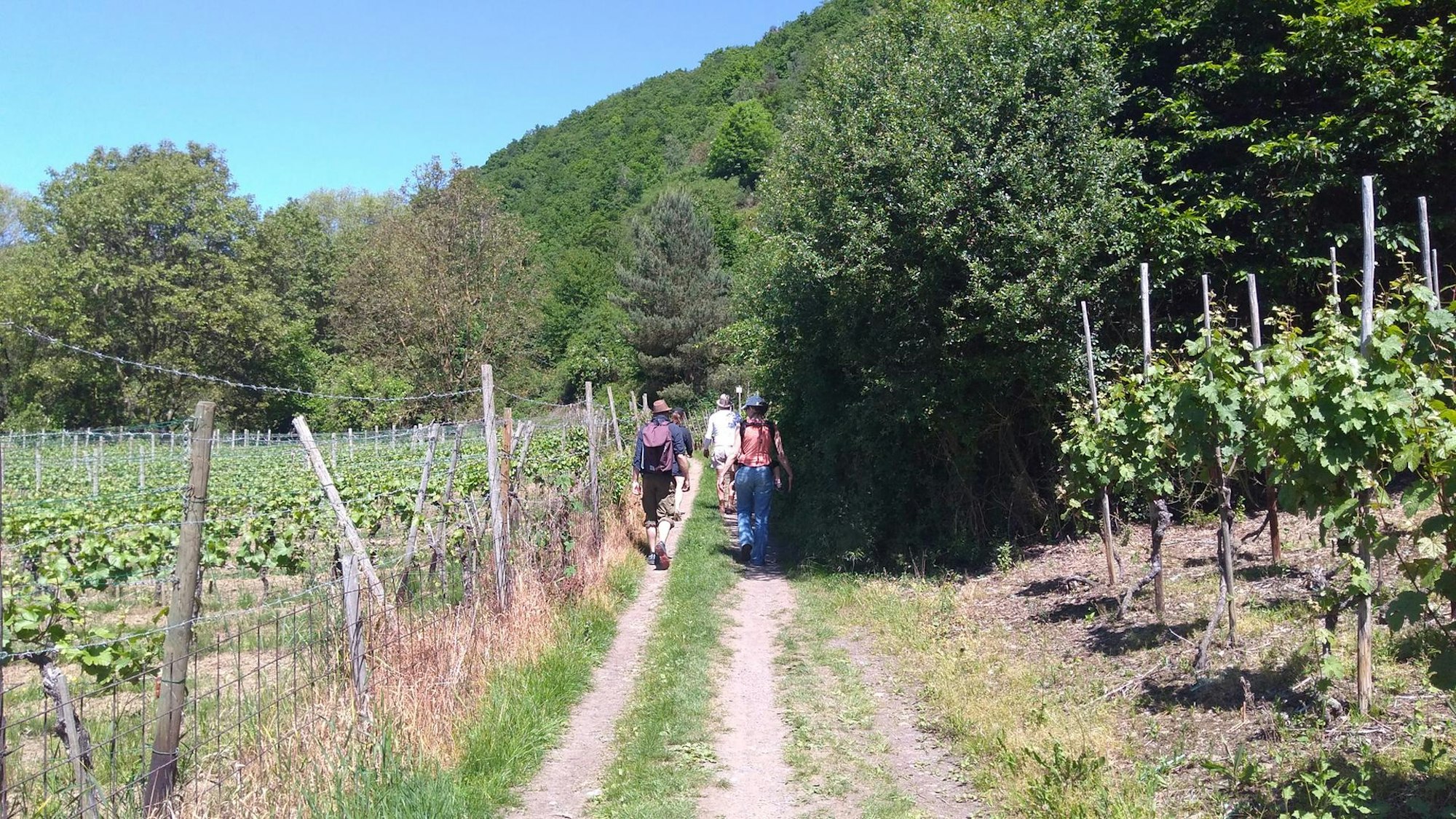 Ahr Wanderung Reiche