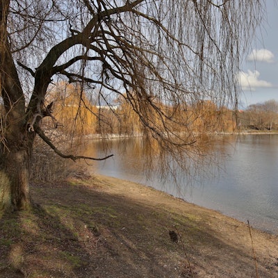 Fühlinger See_ Goyert