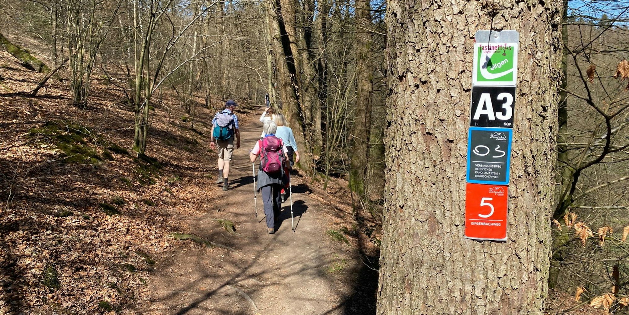 Wandern_Rhein-Sieg-Kreis