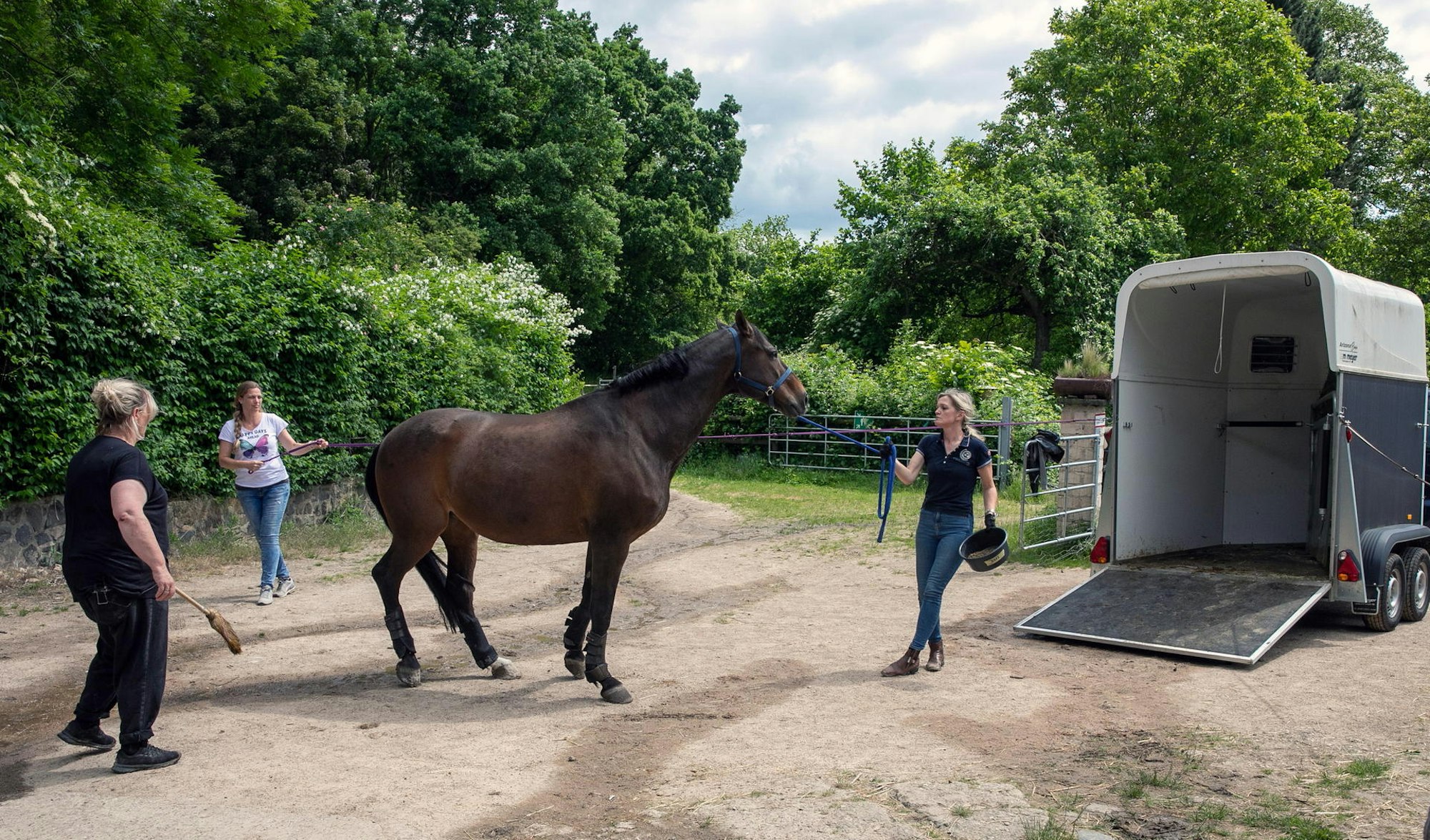 Pecher_Tierscheune_Vita_muss_rein