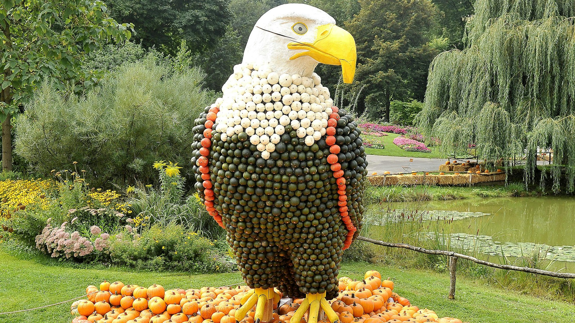 Adler aus Kürbissen bei der Kürbisschau auf dem Krewelshof.