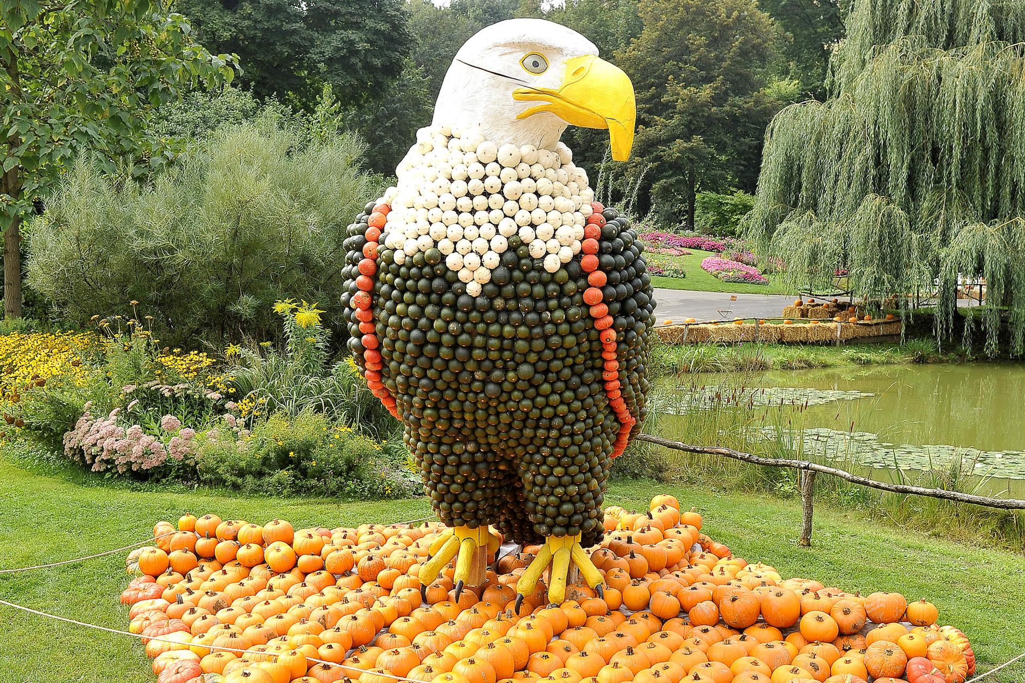 Kürbisschau Krewelshof eifel 2019