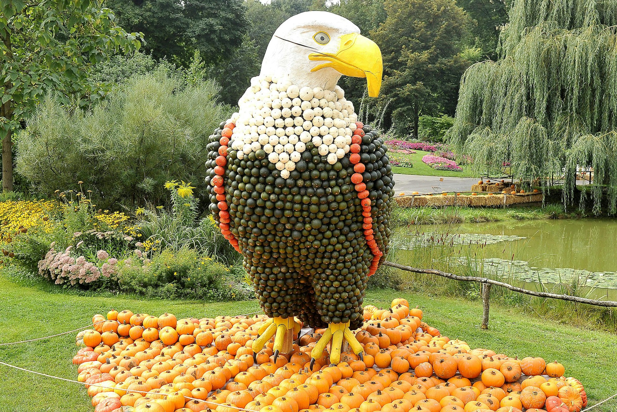 Kürbisschau Krewelshof eifel 2019