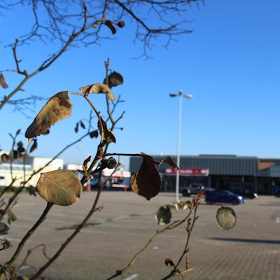 Bergheim_Mobau_Am_Sodagraben_(10)