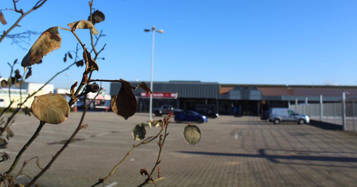 Baumarkt Bergheim-zieverich Bergheim: Aldi-Markt, Baumarkt und neues Gewerbe geplant | Kölner Stadt