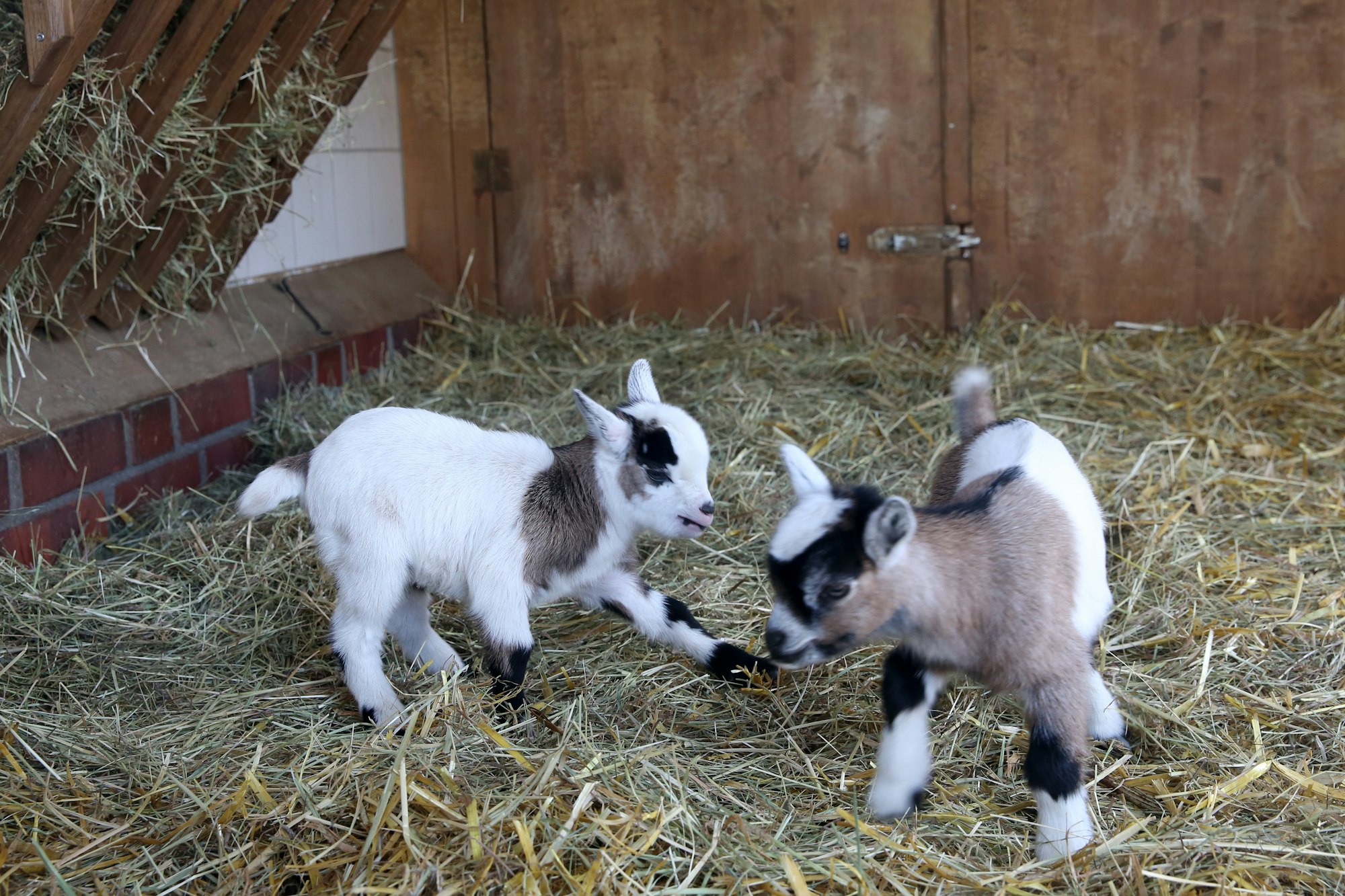 07042016_Hennes_19