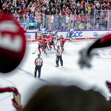 Haie-Arena