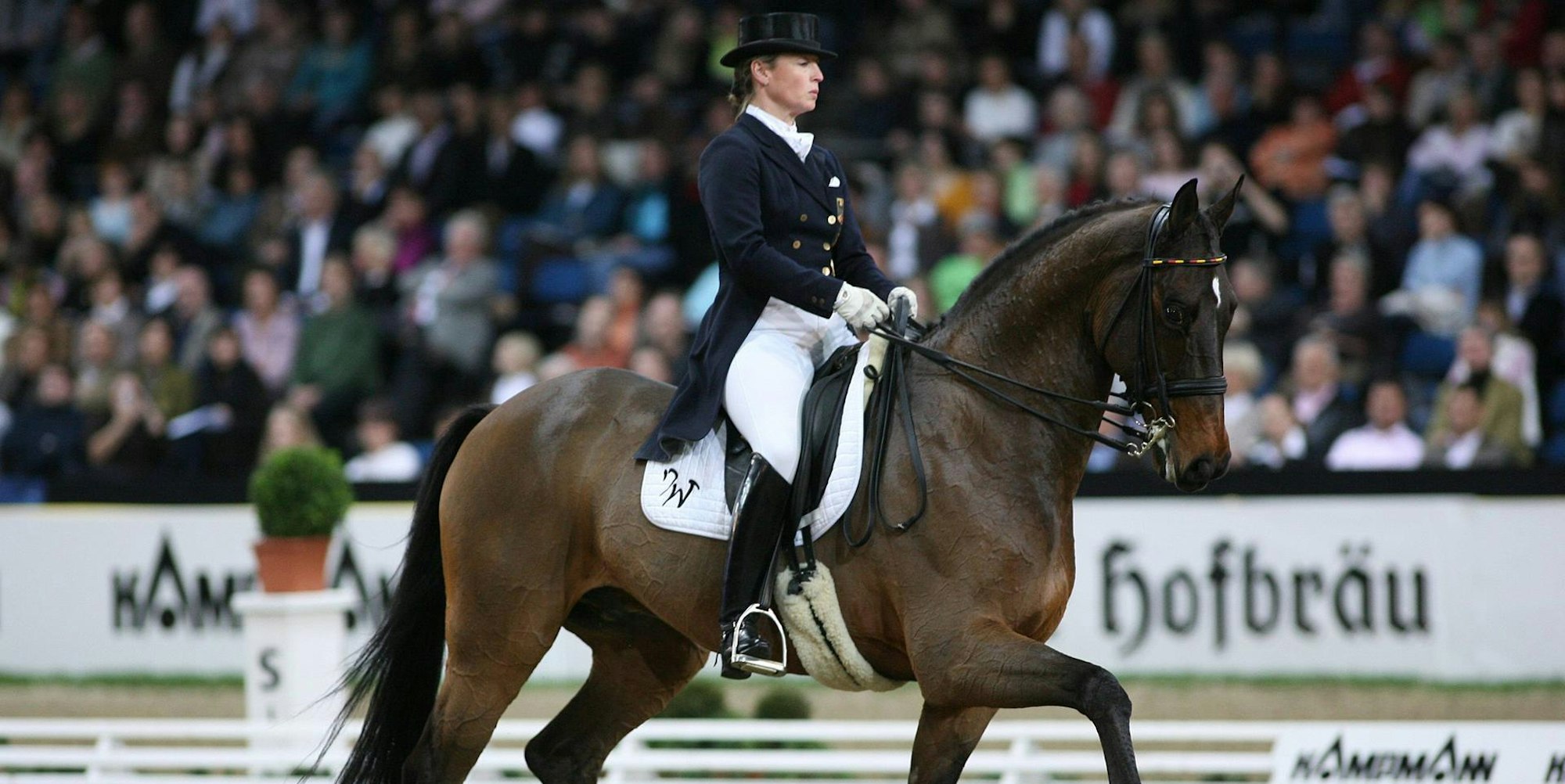 von Werth Satchmo 2006