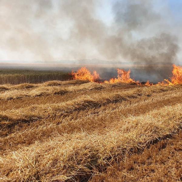 Zülpich Brand 1