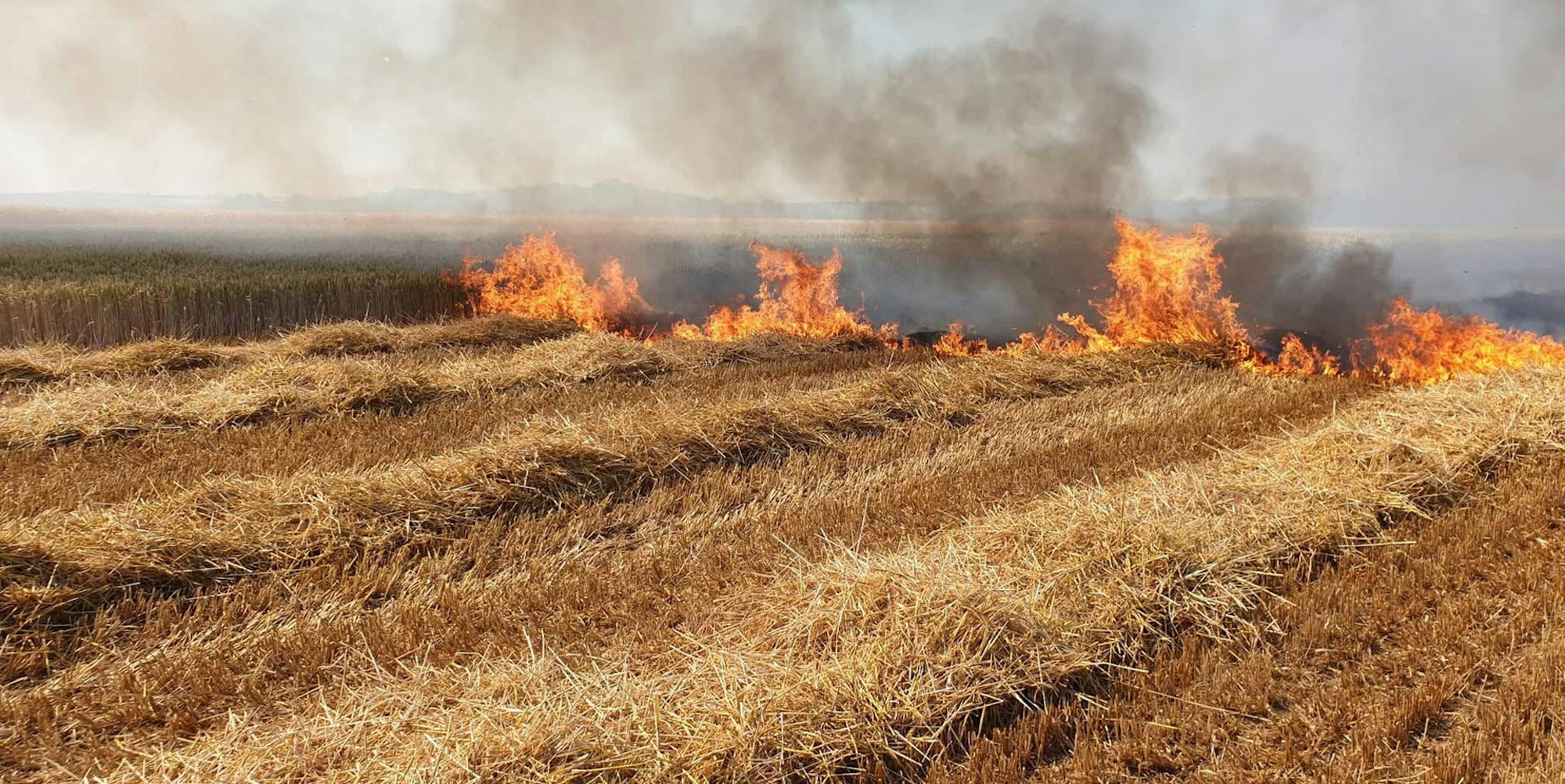 Zülpich Brand 1