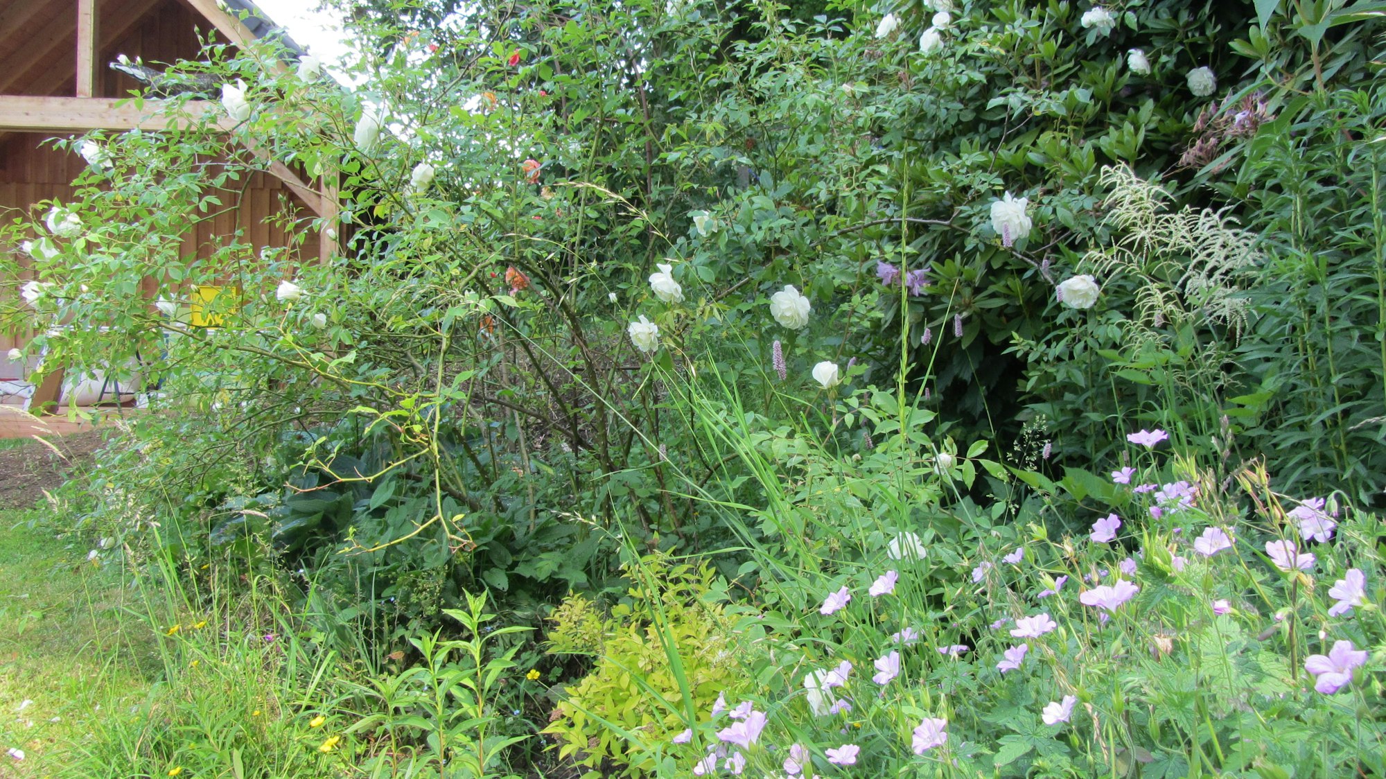 Garten-Fahl1