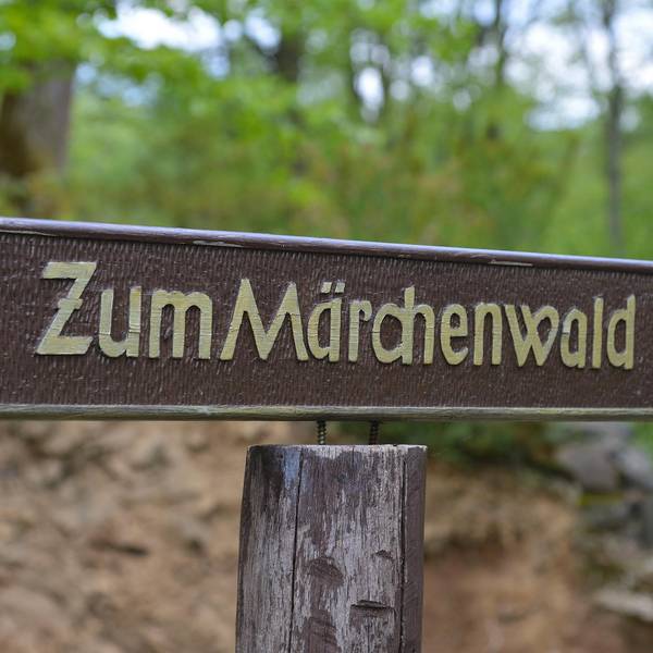 Neuer Inhalt