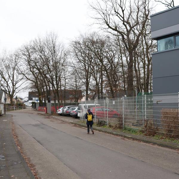 aef-rosenmaar-3 (1)
