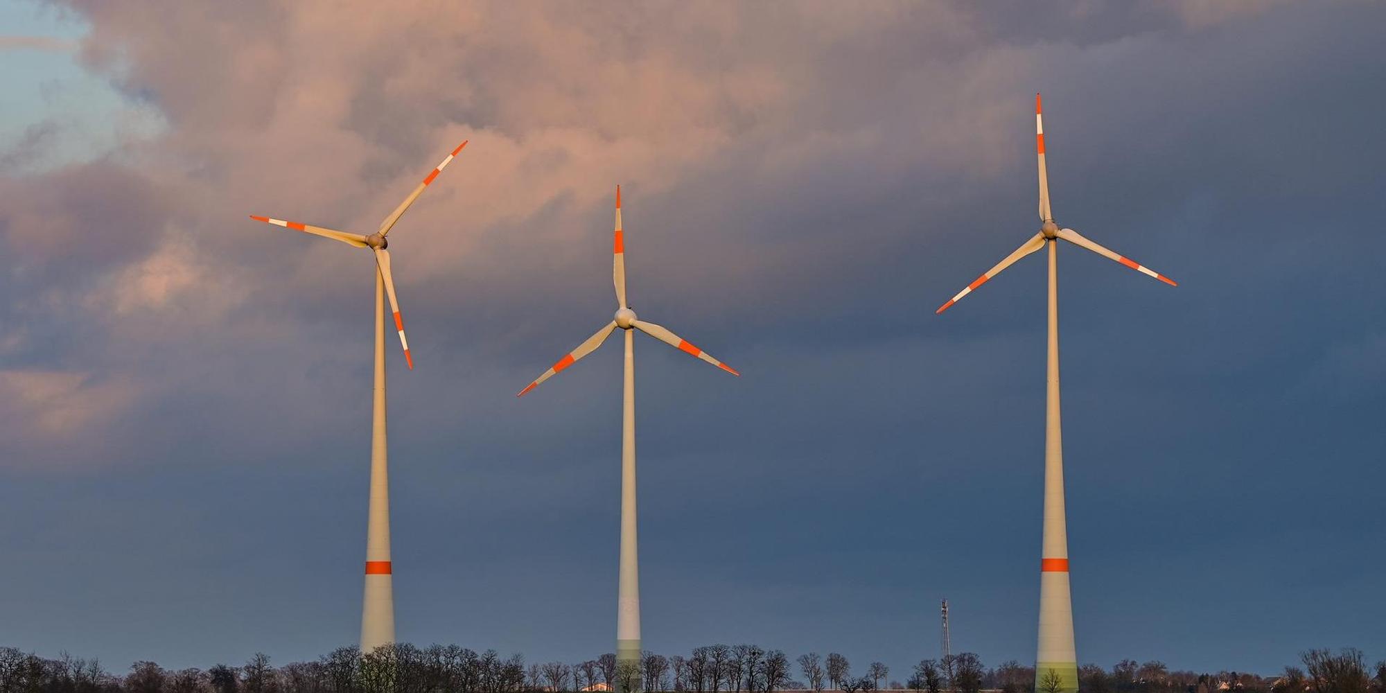 windparkki