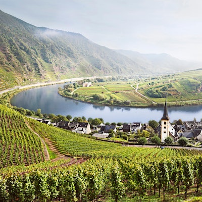 Moselschleife Weingebiete