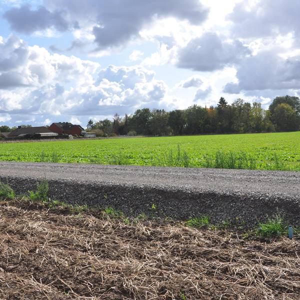 Feldweg Heckelsberg