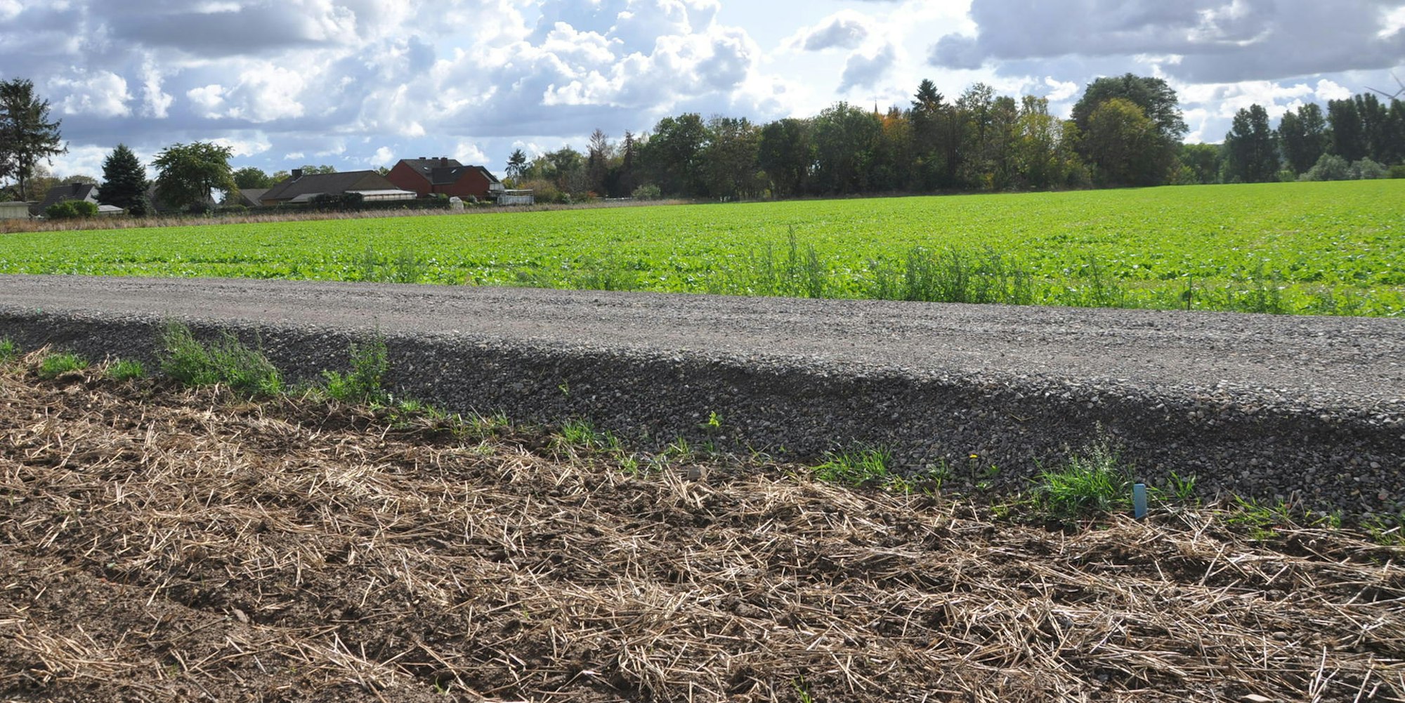 Feldweg Heckelsberg