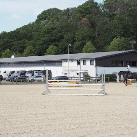 20220511-MAX-reitverein-006