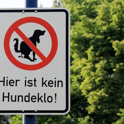 Hundeklo