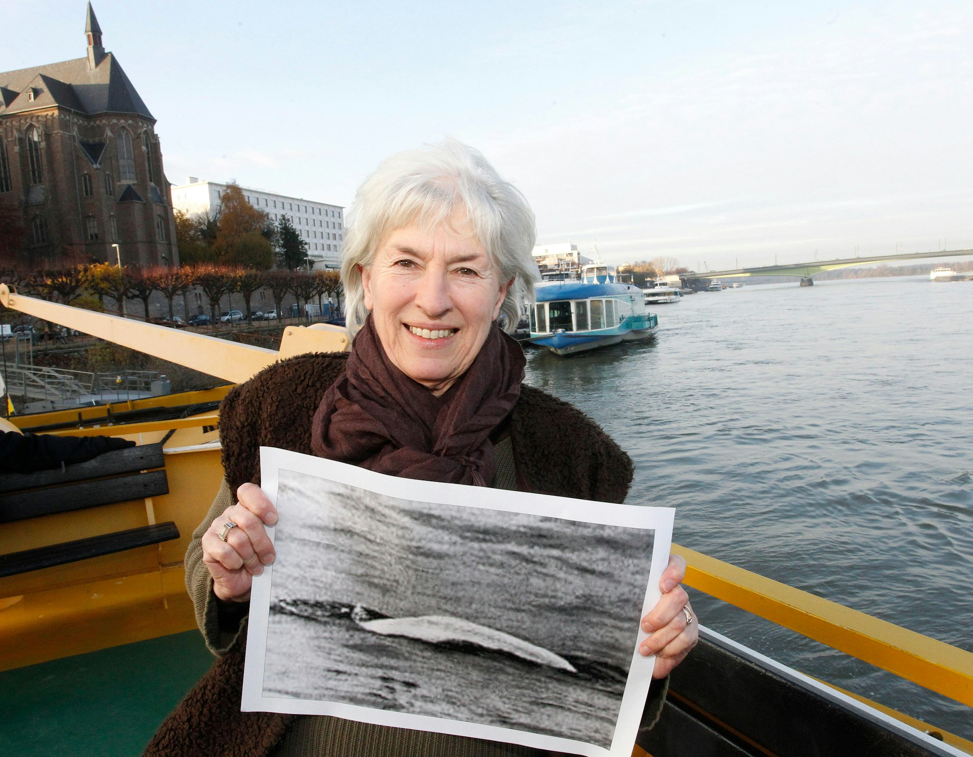 MDS-EXP-2014-01-06-71-62406010