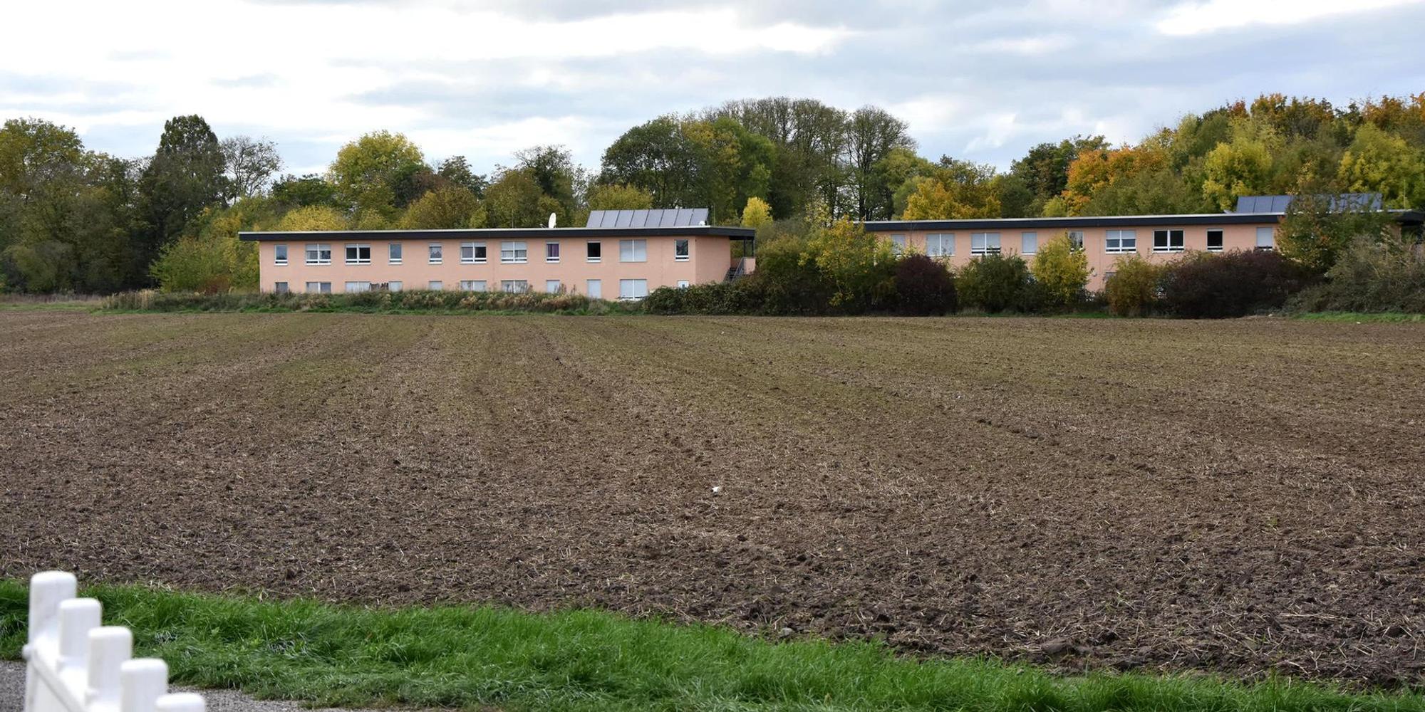 Neuer Inhalt