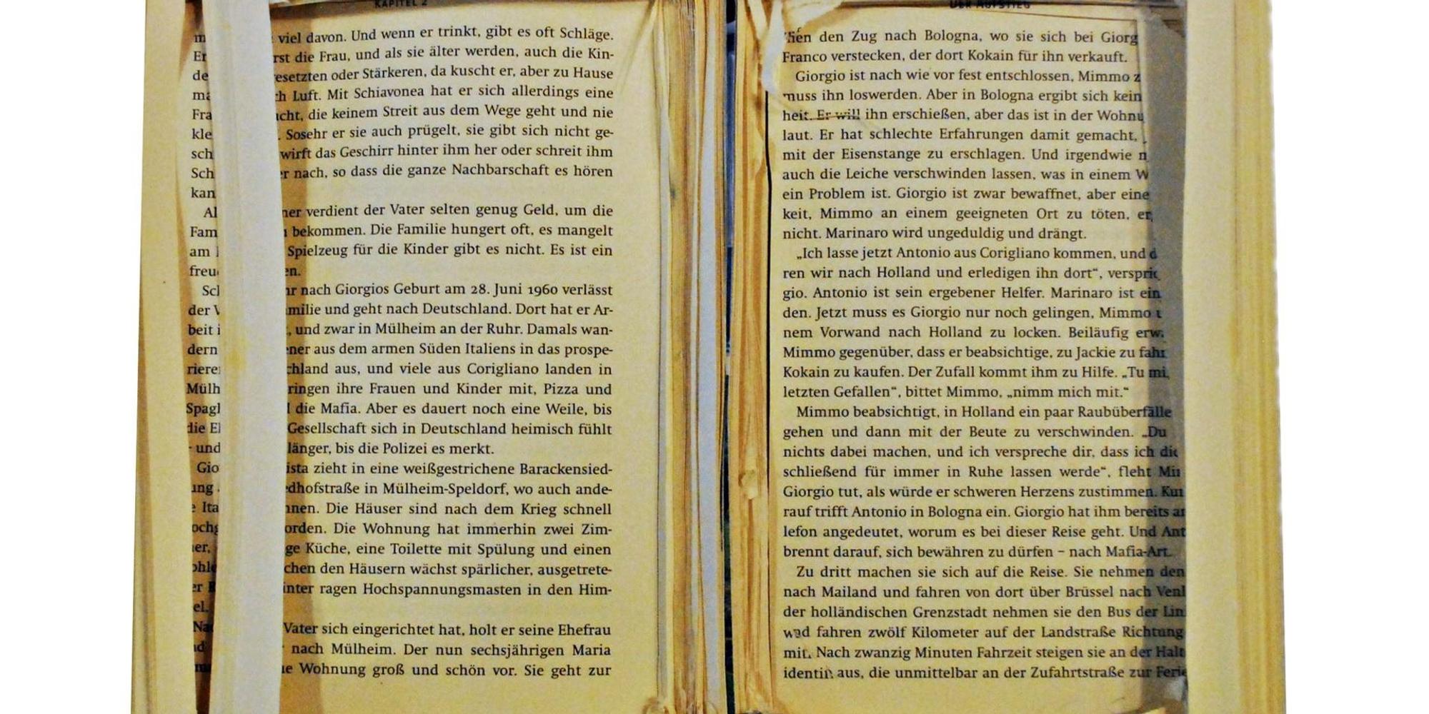 Buchsalon3