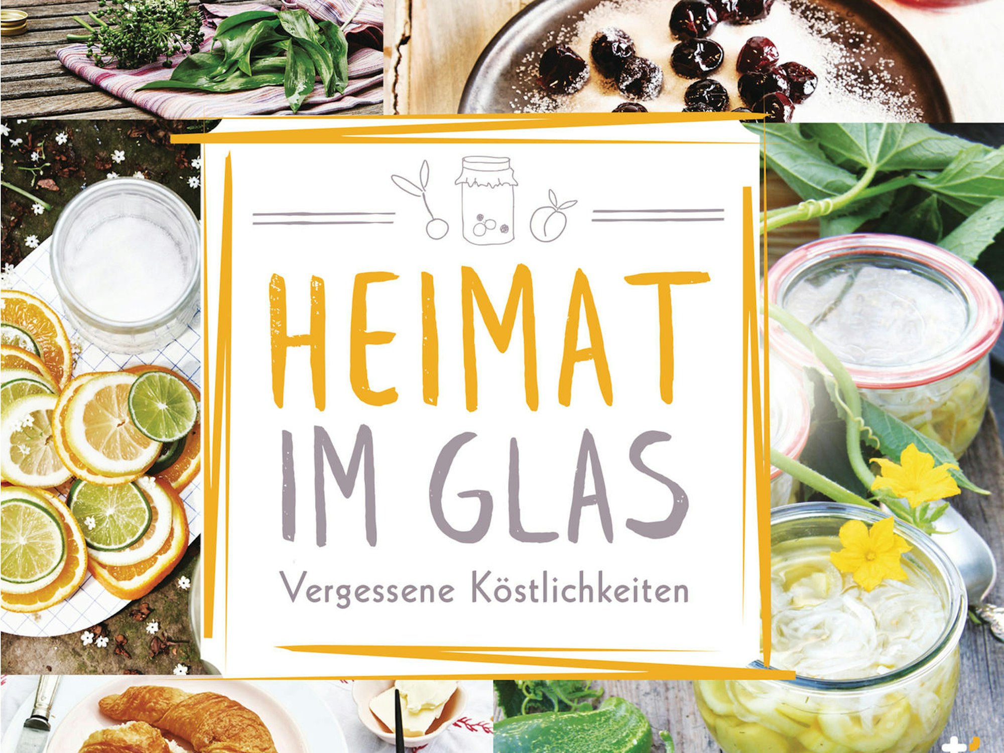 Buch Daniela Wattenbach