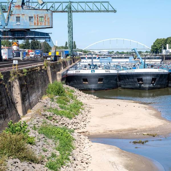 Neidrigwasser Niehler Hafen