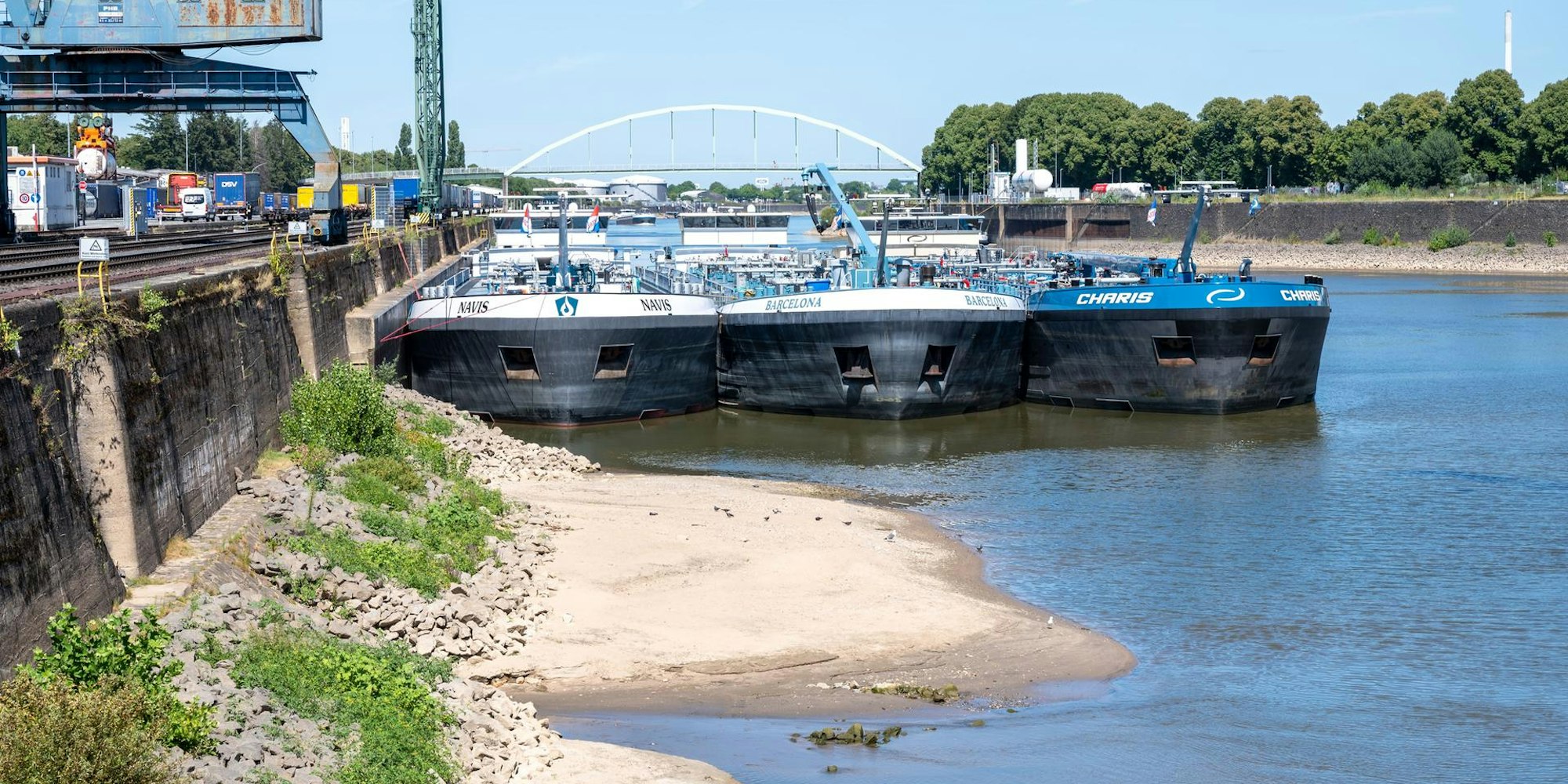 Neidrigwasser Niehler Hafen