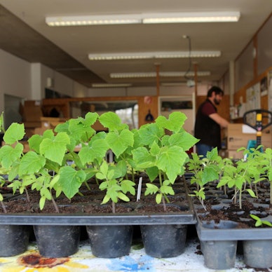 Werkstaetten_fuer_Behinderte_Huerth