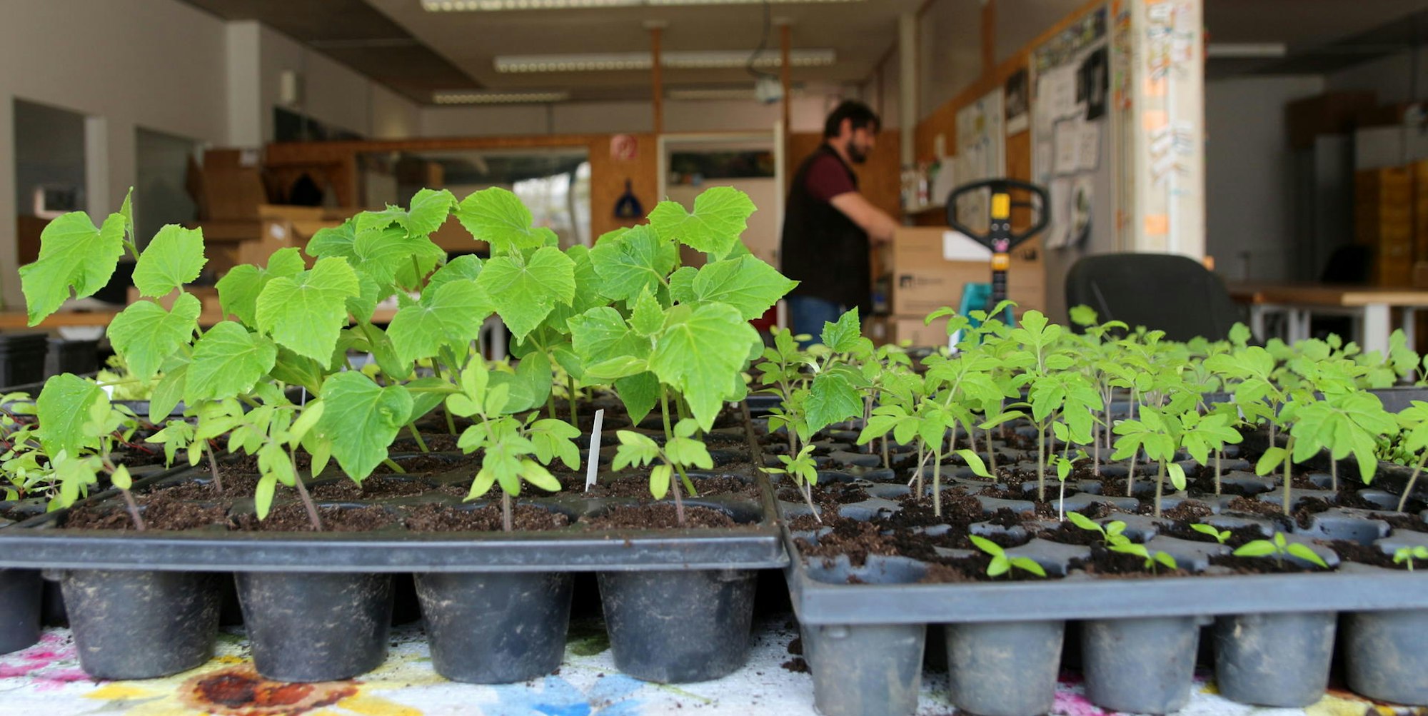 Werkstaetten_fuer_Behinderte_Huerth