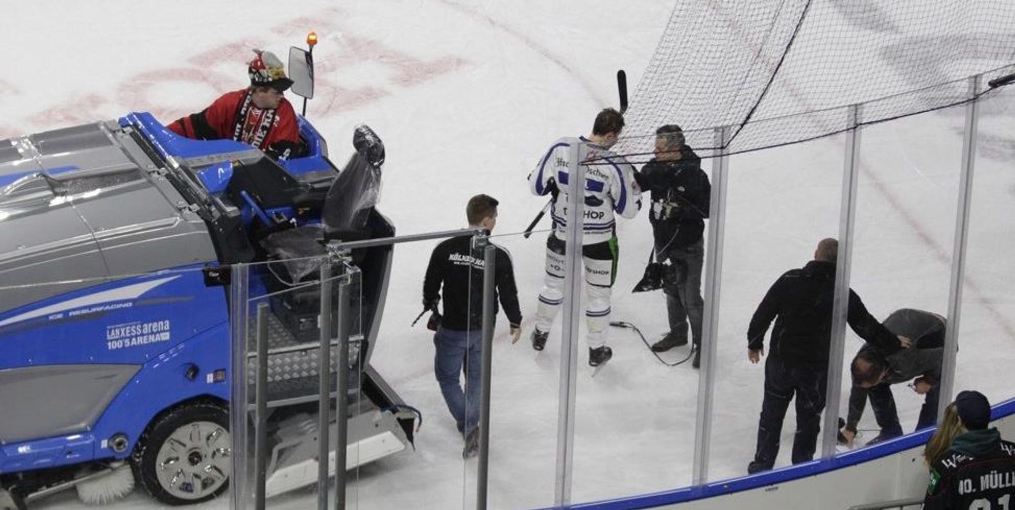 Haie_Zamboni