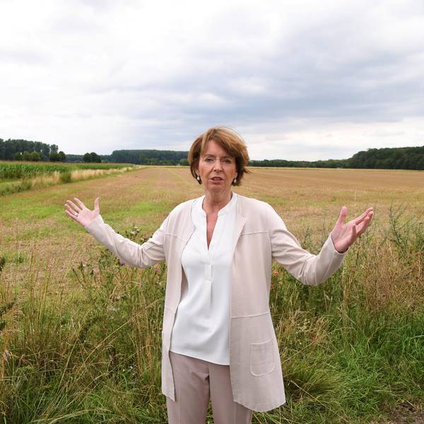 Reker Kreuzfeld