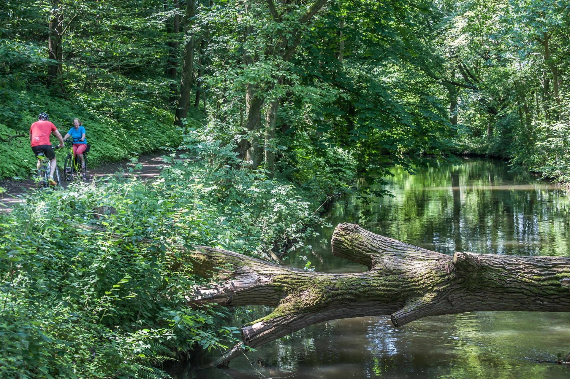 leverkusen-radweg-muehlengraben-ALF_9428