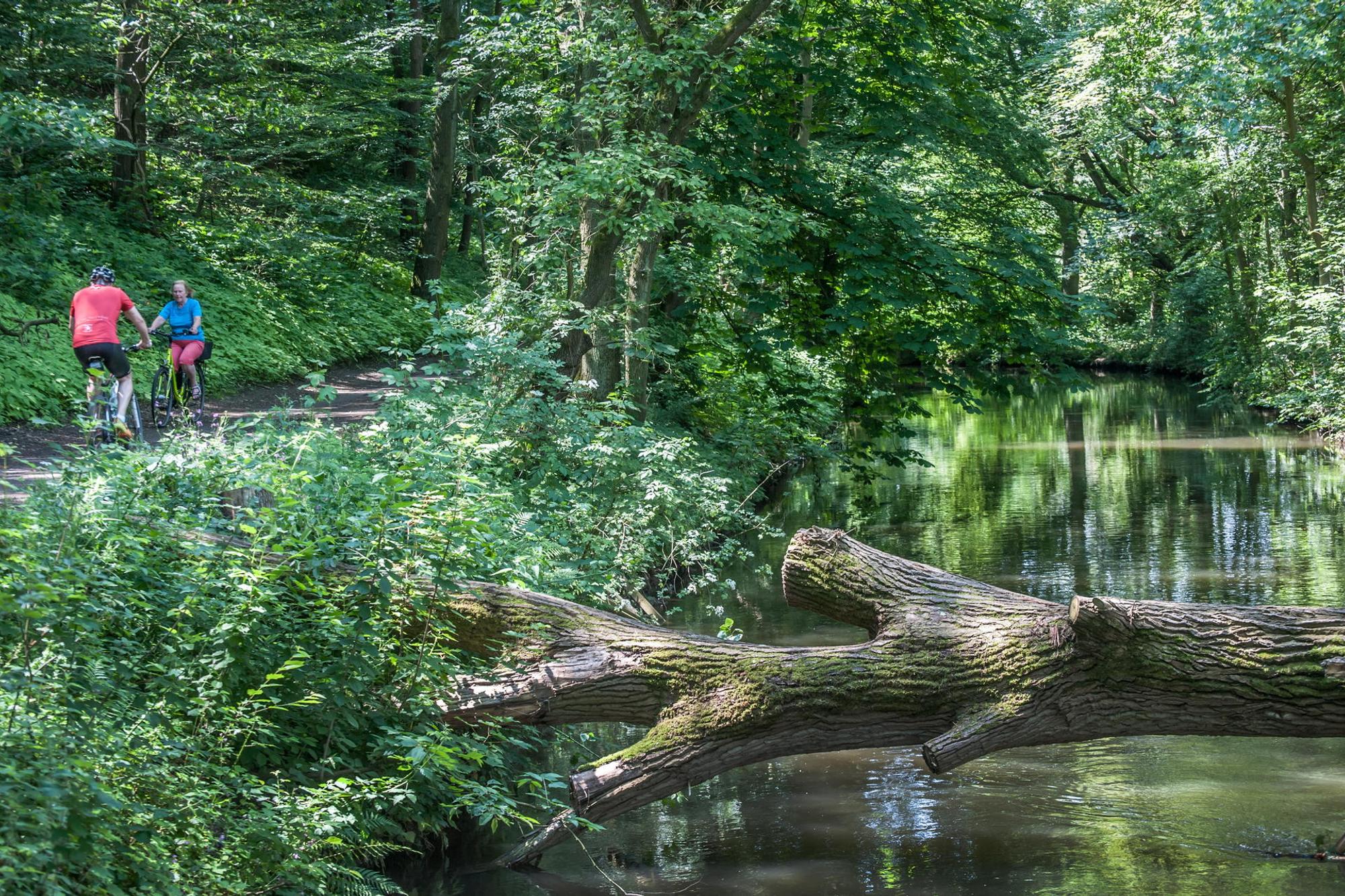 leverkusen-radweg-muehlengraben-ALF_9428