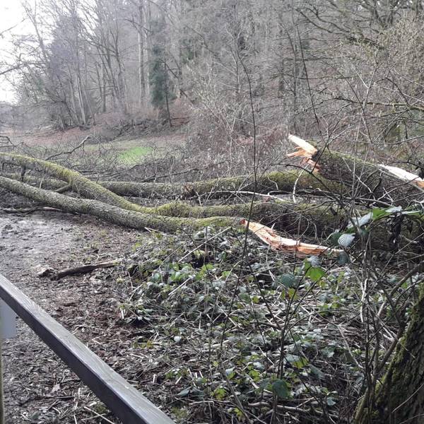 Naafbachtal-Aggerverband