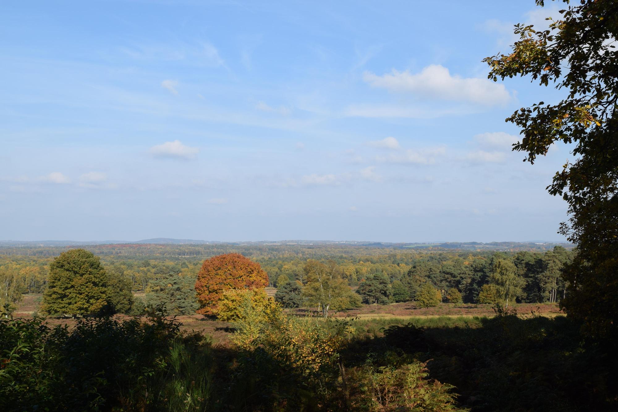 Wahner Heide Krantz Telegrafenberg Herbst