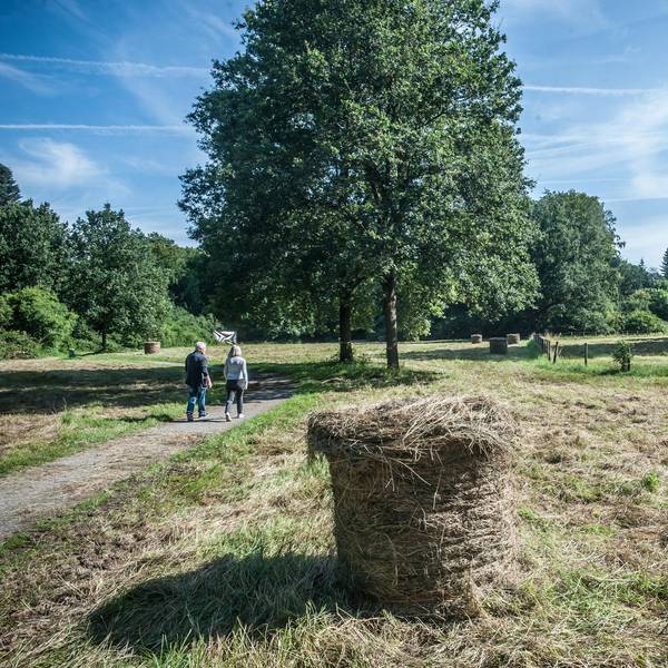 morsbroich_RLE_Leverkusen07302021ALF_6468