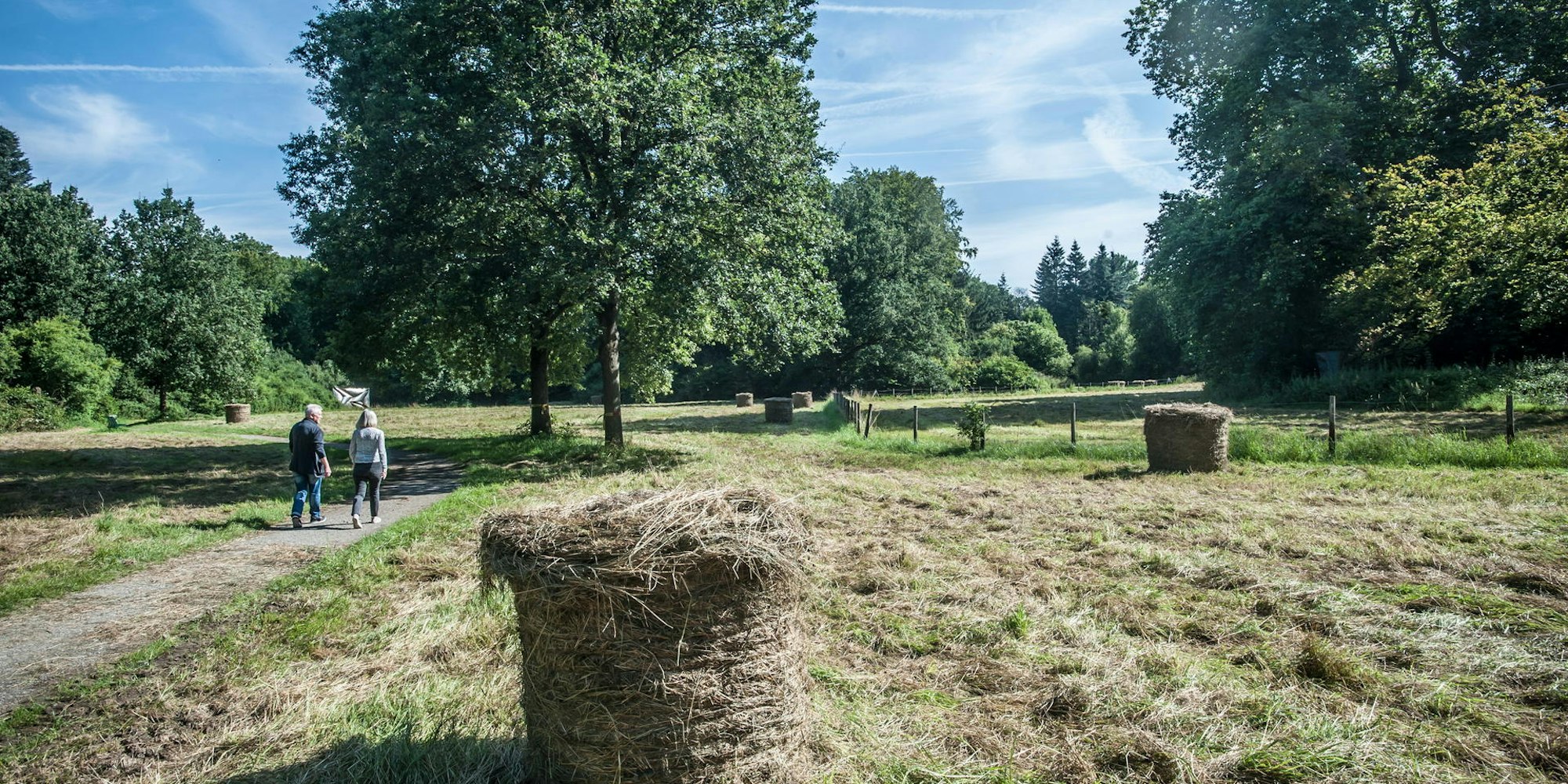 morsbroich_RLE_Leverkusen07302021ALF_6468