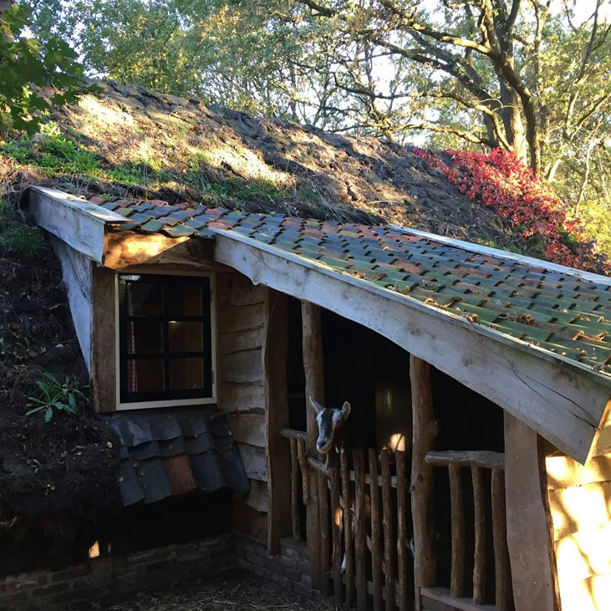 Plaggenhut Ziegenstall Reiche