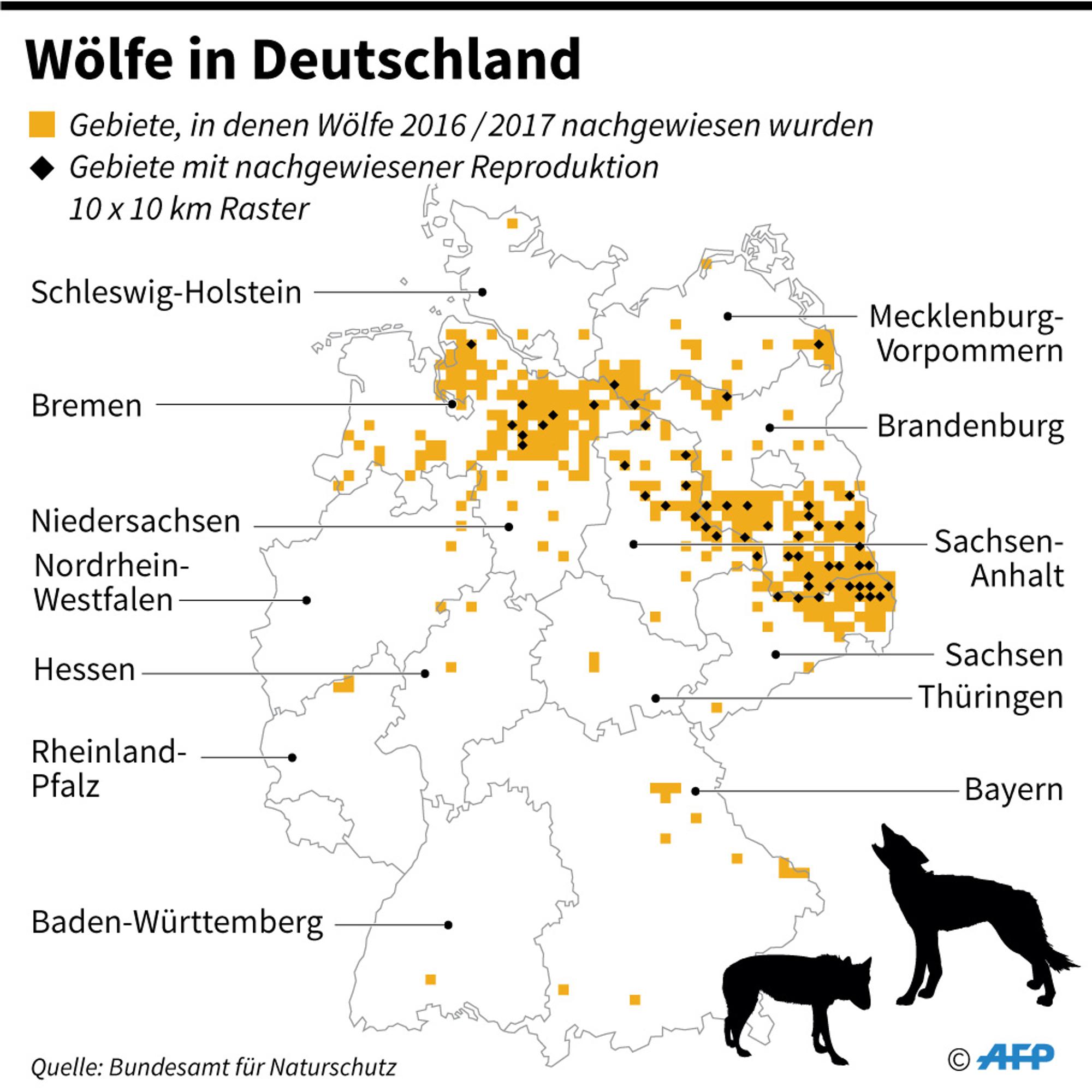 AFP_Grafik Wölfe
