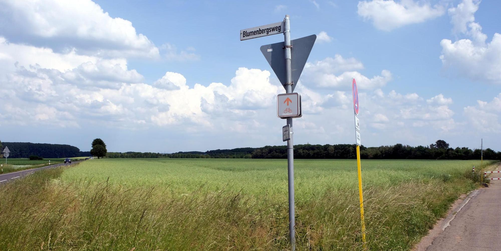 Kreuzfeld_Max Grönert