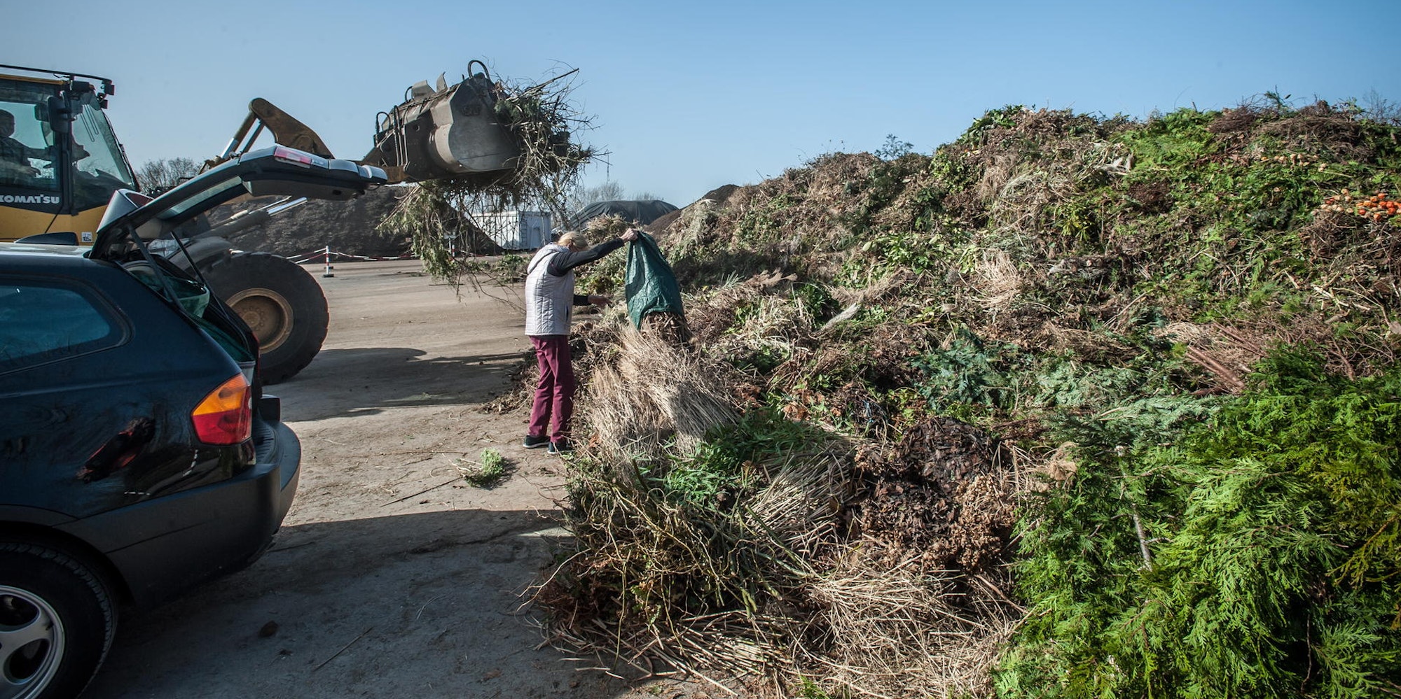 gruenschnitt-heiligeneiche-leverkusen_24022021ALF_7990