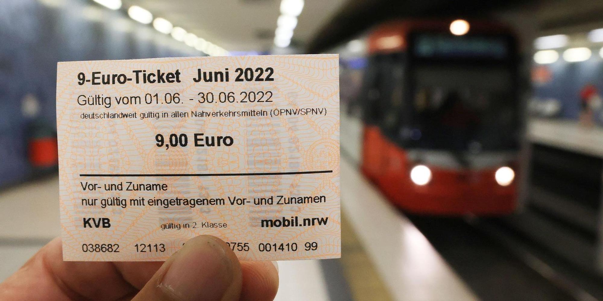 Neuer Inhalt (3)
