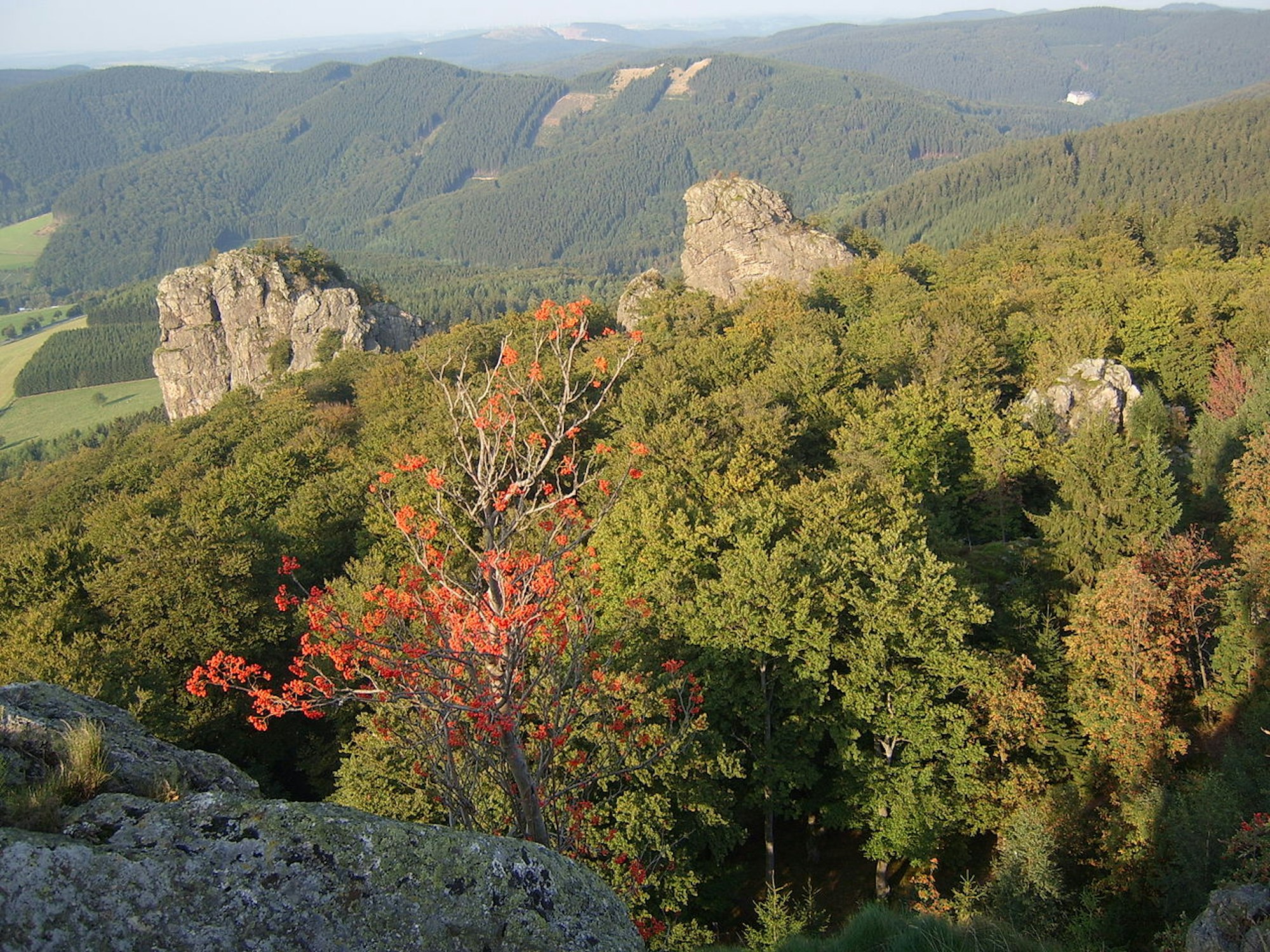 1280px-Bruchhauser_Steine_Gipfel