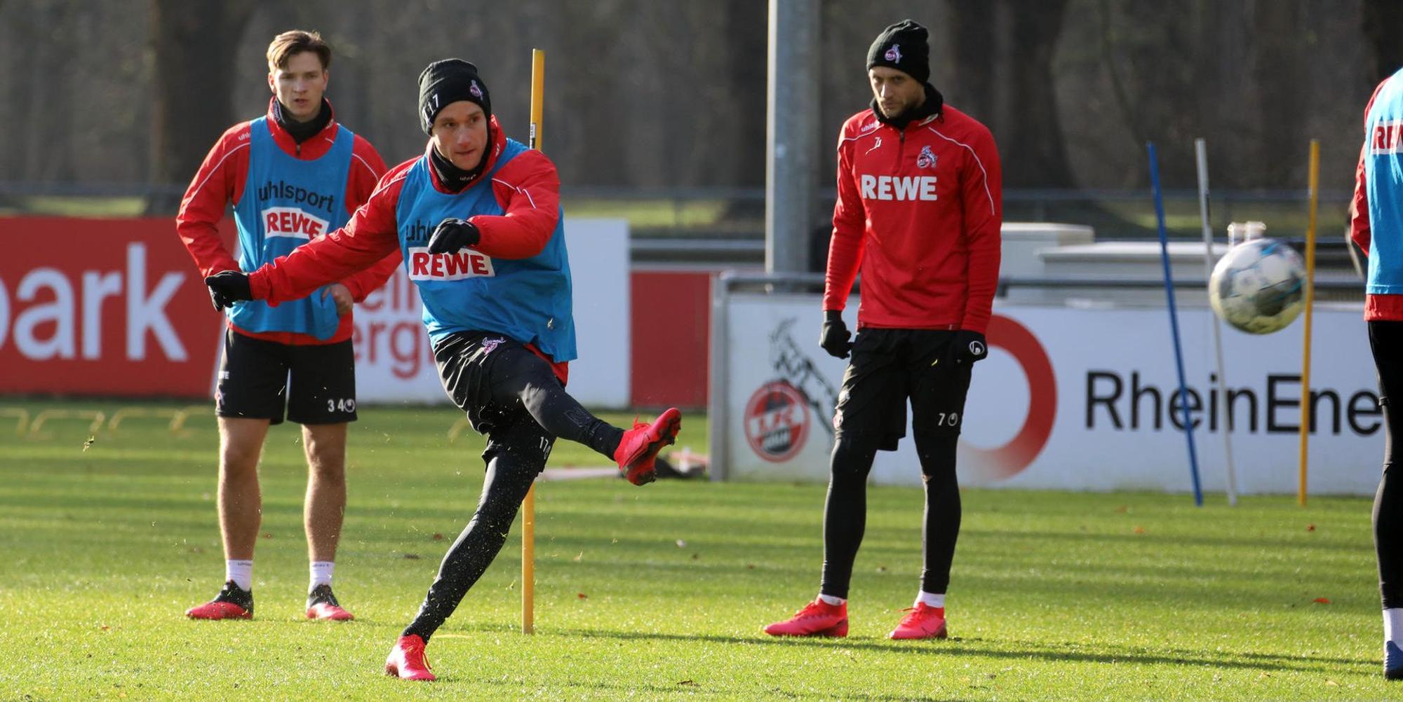 bopp_20_01339